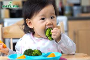 Chế độ dinh dưỡng hợp lý cho trẻ lứa tuổi mầm non