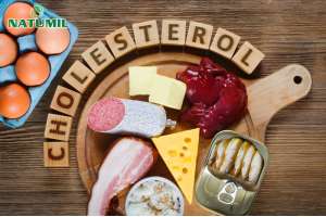 Dinh dưỡng cho người cao tuổi có cholesterol máu cao